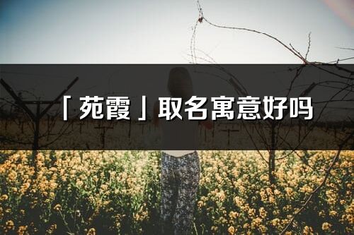 「苑霞」取名寓意好嗎_苑霞名字含義及五行