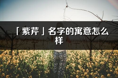「紫芹」名字的寓意怎么樣_紫芹的出處