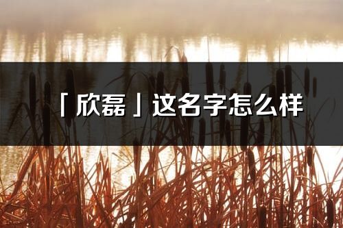 「欣磊」這名字怎么樣_欣磊的名字解釋