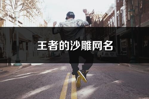 王者的沙雕網名(129個)