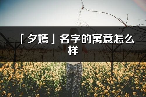 「夕嫣」名字的寓意怎么樣_夕嫣的出處
