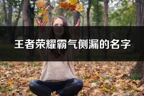 王者榮耀霸氣側漏的名字(優選71個)