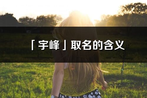 「宇峰」取名的含義_宇峰名字寓意解釋