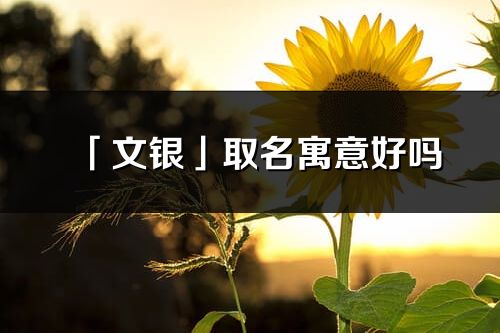 「文銀」取名寓意好嗎_文銀名字含義及寓意