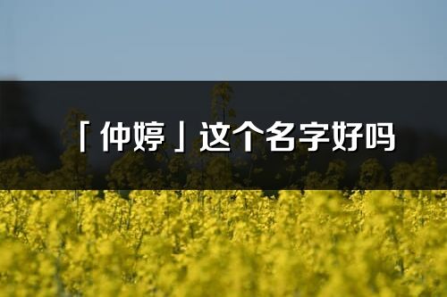 「仲婷」這個名字好嗎_仲婷名字寓意,含義