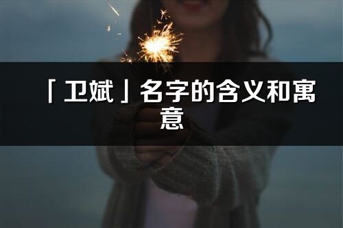 「衛斌」名字的含義和寓意_衛斌的出處與意思解釋