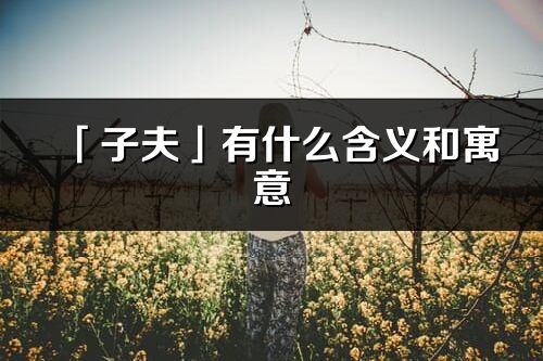「子夫」有什么含義和寓意_子夫名字的出處與意思