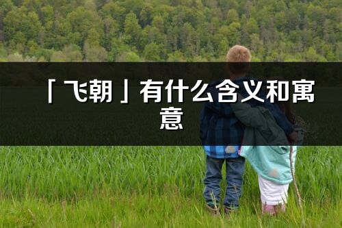 「飛朝」有什么含義和寓意_飛朝名字的出處與意思