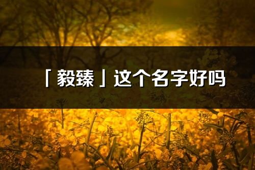「毅臻」這個名字好嗎_毅臻名字寓意,含義