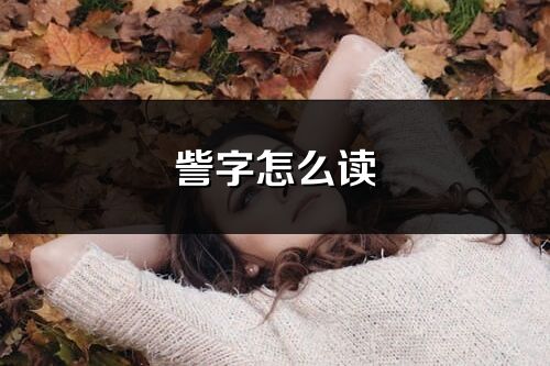 訾字怎么讀_訾的讀音