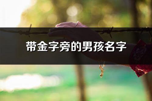 帶金字旁的男孩名字