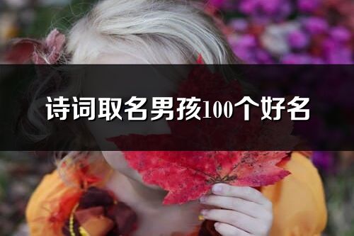 詩詞取名男孩100個好名
