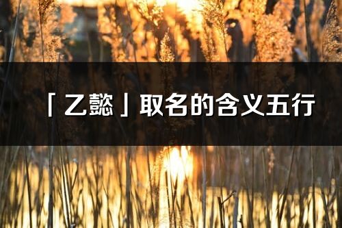 「乙懿」取名的含義五行_乙懿名字寓意解釋