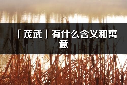 「茂武」有什么含義和寓意_茂武名字的出處與意思