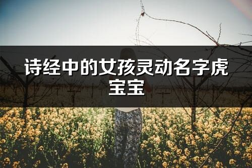 詩經中的女孩靈動名字虎寶寶