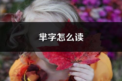 羋字怎么讀_羋的讀音