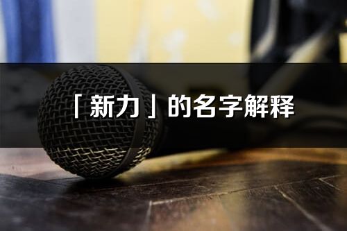 「新力」的名字解釋_新力含義分析