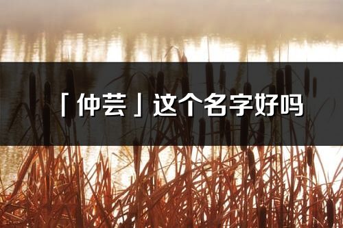 「仲蕓」這個(gè)名字好嗎_仲蕓名字寓意,含義