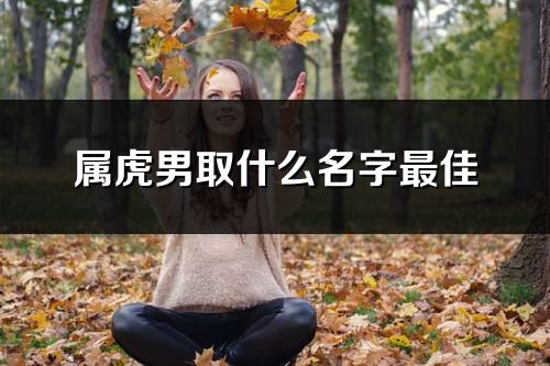 屬虎男取什么名字最佳
