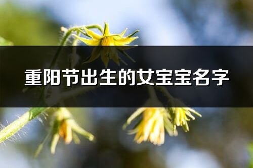 重陽節(jié)出生的女寶寶名字