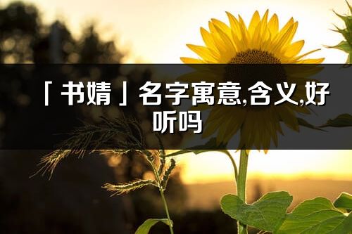 「書婧」名字寓意,含義,好聽嗎_書婧名字取名打分