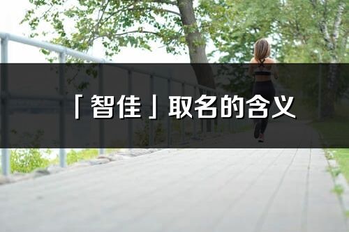 「智佳」取名的含義_智佳名字寓意