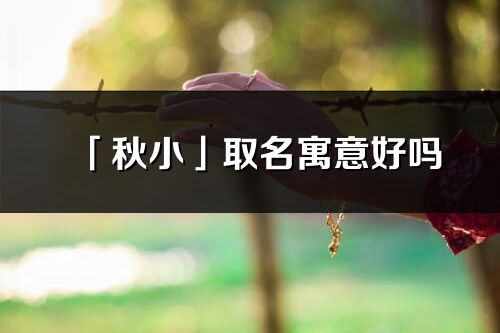 「秋小」取名寓意好嗎_秋小名字含義及五行