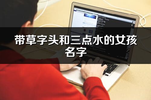 帶草字頭和三點水的女孩名字