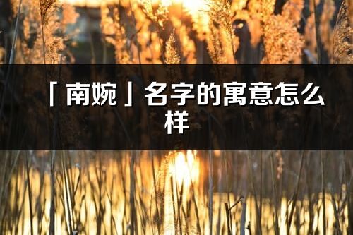 「南婉」名字的寓意怎么樣_南婉的出處