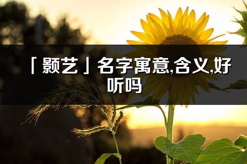 「顥藝」名字寓意,含義,好聽嗎_顥藝名字分析打分
