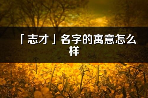 「志才」名字的寓意怎么樣_志才的出處