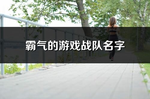 霸氣的游戲戰隊名字(264個)