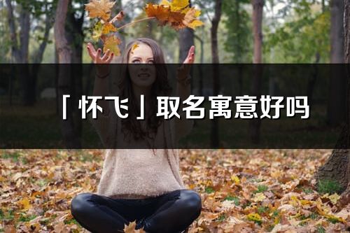 「懷飛」取名寓意好嗎_懷飛名字含義及五行