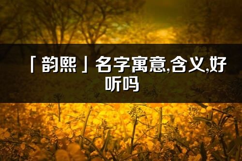「韻熙」名字寓意,含義,好聽嗎_韻熙名字分析打分