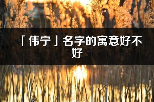 「偉寧」名字的寓意好不好_偉寧含義分析