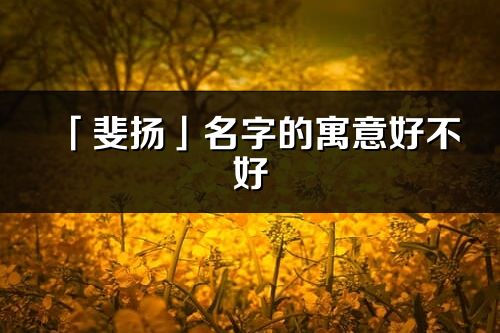 「斐揚(yáng)」名字的寓意好不好_斐揚(yáng)含義分析