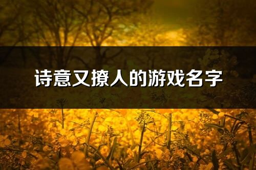 詩意又撩人的游戲名字