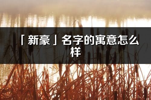 「新豪」名字的寓意怎么樣_新豪的出處