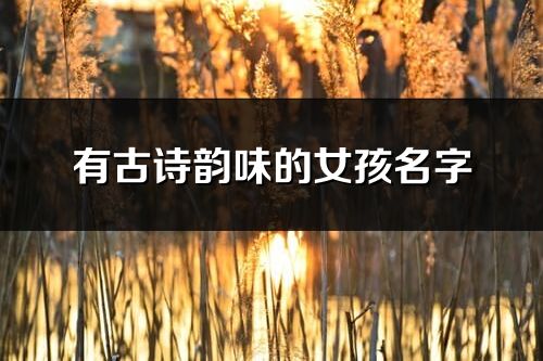 有古詩韻味的女孩名字