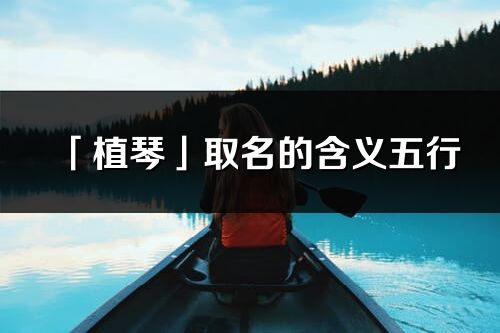 「植琴」取名的含義五行_植琴名字寓意解釋