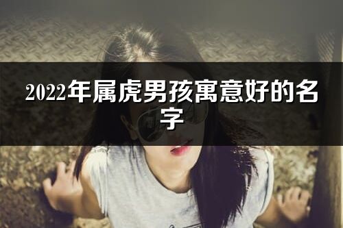 2022年屬虎男孩寓意好的名字