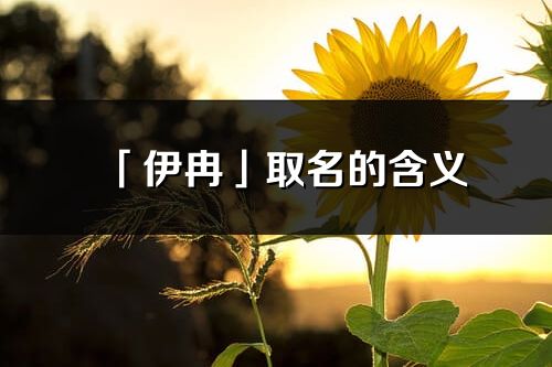 「伊冉」取名的含義_伊冉名字寓意