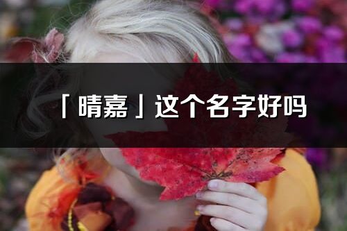 「晴嘉」這個名字好嗎_晴嘉名字寓意,含義