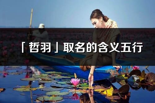 「哲羽」取名的含義五行_哲羽名字寓意解釋