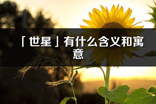 「世星」有什么含義和寓意_世星名字的出處與意思
