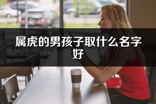 屬虎的男孩子取什么名字好