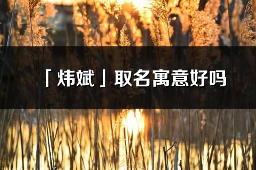 「煒斌」取名寓意好嗎_煒斌名字含義及五行