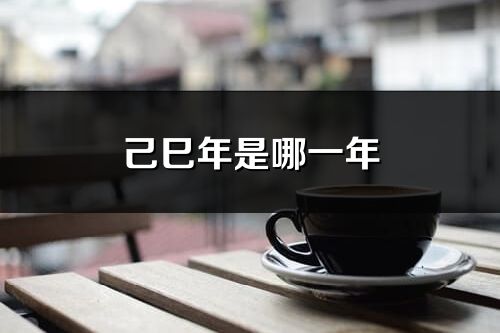 己巳年是哪一年