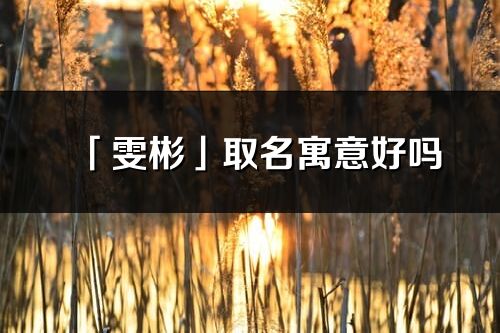 「雯彬」取名寓意好嗎_雯彬名字含義及五行