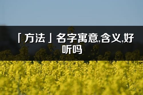 「方法」名字寓意,含義,好聽嗎_方法名字分析打分
